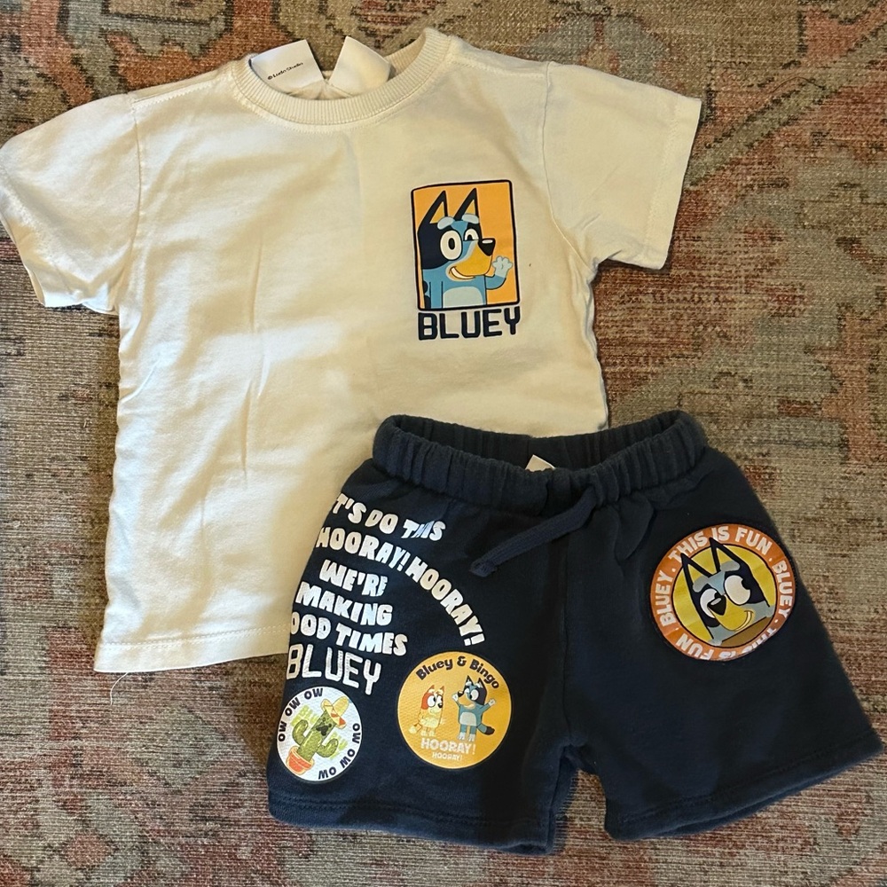 Zara Bluey 2-piece T-shirt and Shorts Matching Set